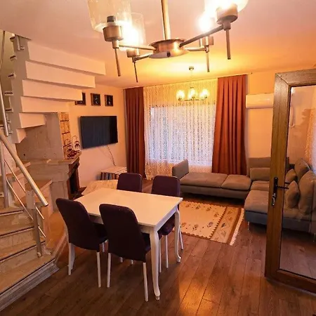 Villa Lion Ağva