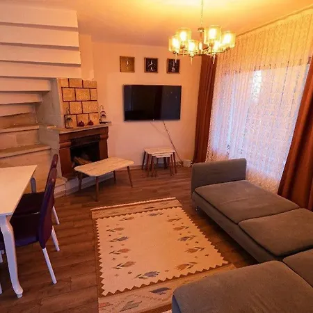 Villa Lion Ağva